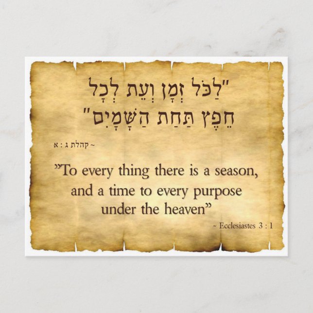 Ecclesiastes 3:1 Hebrew and English Postcard (Front)