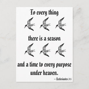 Ecclesiastes 3:1 postcard