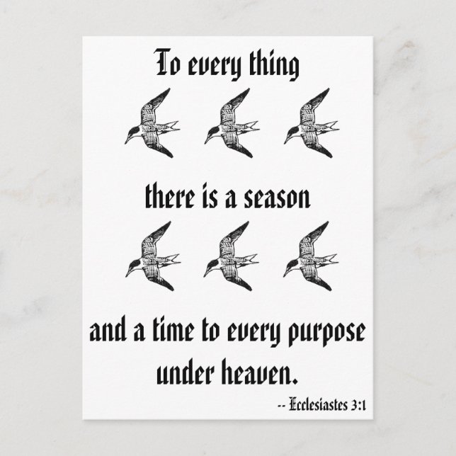 Ecclesiastes 3:1 postcard (Front)