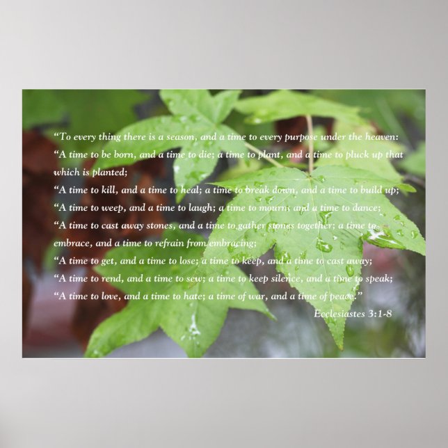 Ecclesiastes 3:1 Scripture Poster (Version B) (Front)