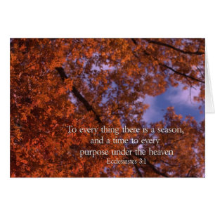 Ecclesiastes 3:1 To every thing there is a season