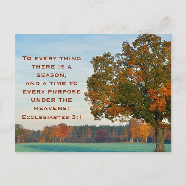 Ecclesiastes 3:1 To Everything there is a Season Postcard (Front)