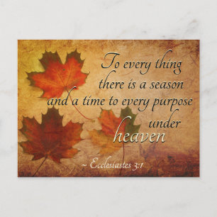Ecclesiastes 3:1 To everything there is a season, Postcard
