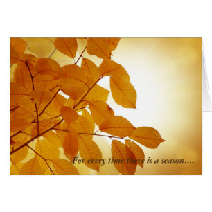 Ecclesiastes 3 Saison Confortant