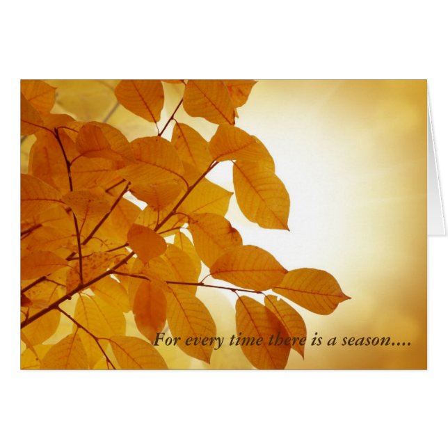 Ecclesiastes 3 Season Comforting (Front Horizontal)