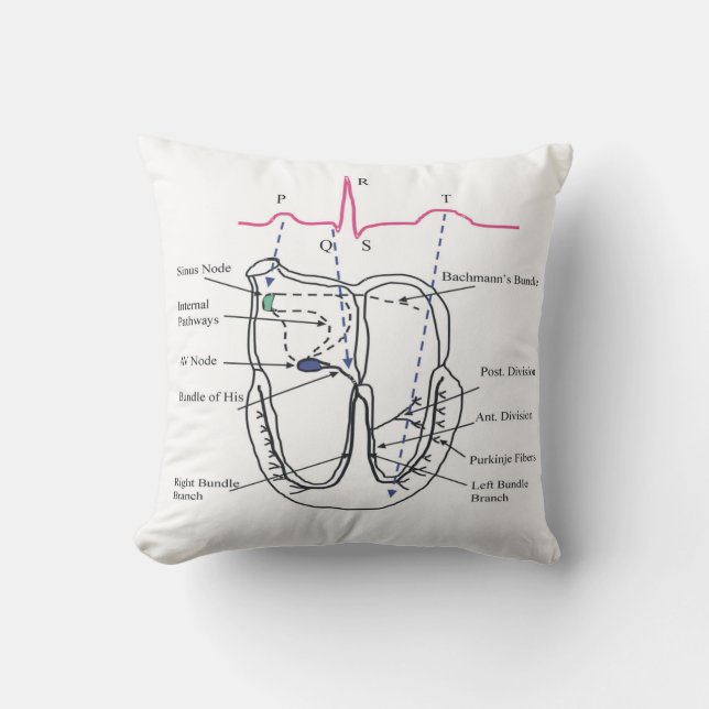 Ecg Pillow (Front)