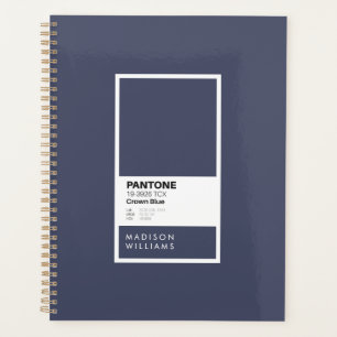 Échantillon de palette de couleurs minimaliste ble