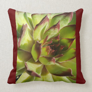 Echeveria Agavoides Pillow