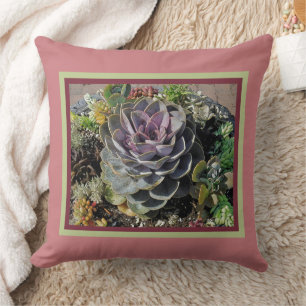 "ECHEVERIA AND OTHER SUCCULENTS" THROW PILLOW