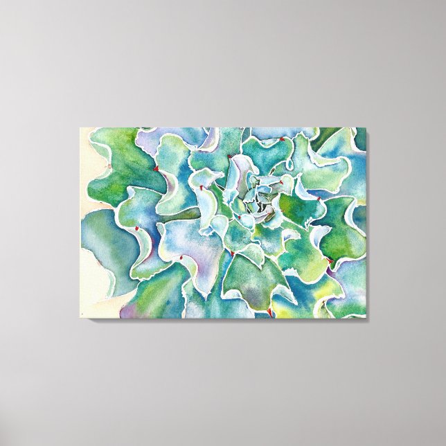 Echeveria 'Blue Frills' Canvas Print (Front)