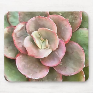 Echeveria Cactus Succulent Acrylic Painting Mouse Pad