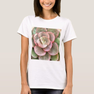 Echeveria Cactus Succulent Acrylic Painting T-Shirt