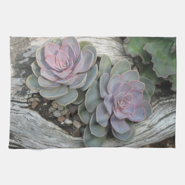 Echeveria Dish Towel (Horizontal)