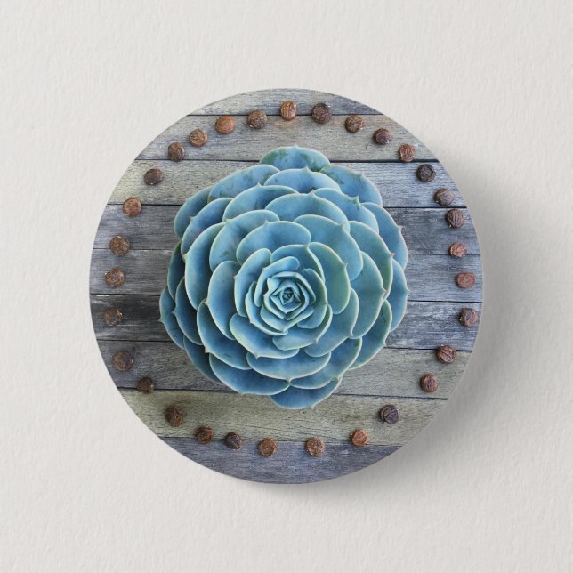 Echeveria Imbricata and Wisteria Seed Succulents 2 Inch Round Button (Front)