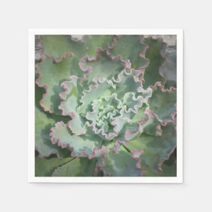 Echeveria Napkin