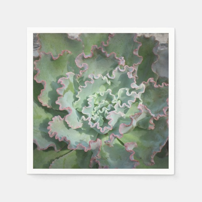 Echeveria Napkin (Front)