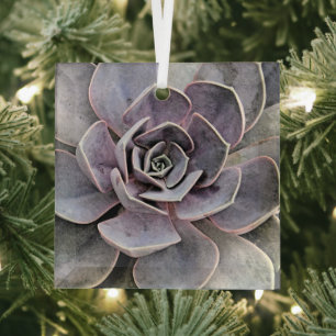ECHEVERIA PLANT (SUCCULENT) GLASS ORNAMENT