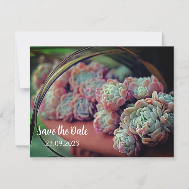 Echeveria Rose Succulent Save the Date Holiday Card (Front)