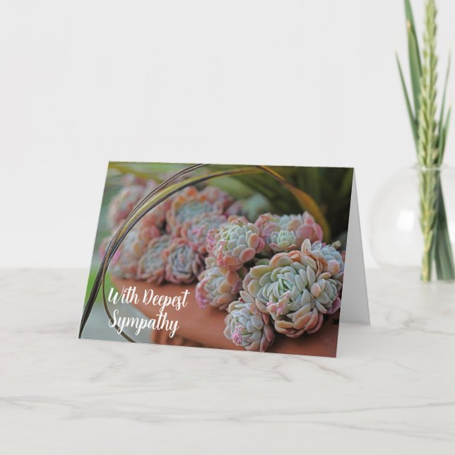 Echeveria Rose Succulent With Deepest Sympathy Card (Front)