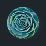Echeveria Rosette, Secret Garden of Marrakech 2 Inch Round Button<br><div class="desc">Echeveria rosette (Echeveria elegans),  a semi-desert succulent plant native to Mexico,  Secret Garden of Marrakech,  Medina of Marrakech,  Mouassine neighbourhood,  Morocco.</div>