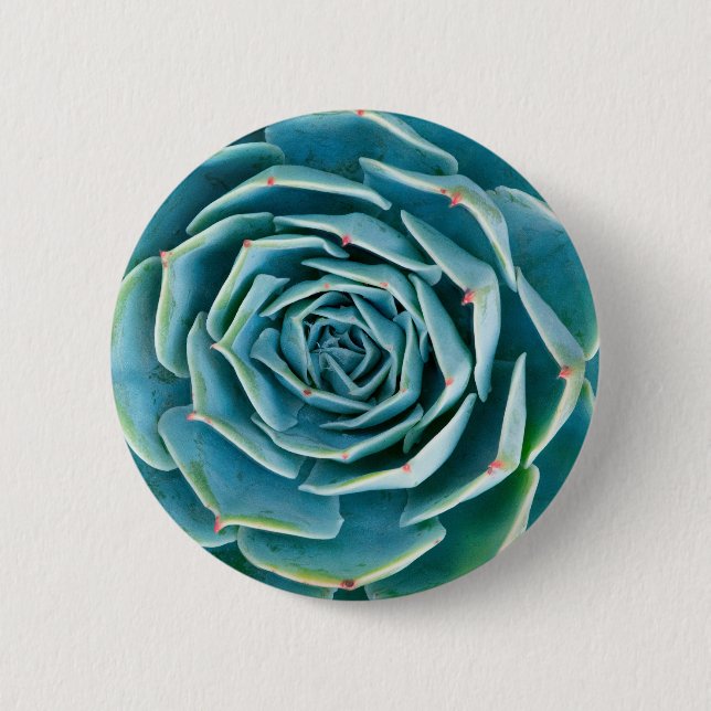 Echeveria Rosette, Secret Garden of Marrakech 2 Inch Round Button (Front)
