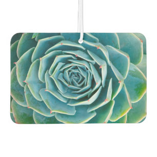 Echeveria Rosette, Secret Garden of Marrakech Air Freshener