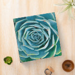 Echeveria Rosette, Secret Garden of Marrakech Binder<br><div class="desc">Echeveria rosette (Echeveria elegans), a semi-desert succulent plant native to Mexico, Secret Garden of Marrakech, Medina of Marrakech, Mouassine neighbourhood, Morocco.</div>