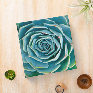 Echeveria Rosette, Secret Garden of Marrakech Binder