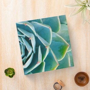 Echeveria Rosette, Secret Garden of Marrakech Binder
