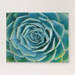 Echeveria Rosette, Secret Garden of Marrakech Jigsaw Puzzle<br><div class="desc">Echeveria rosette (Echeveria elegans),  a semi-desert succulent plant native to Mexico,  Secret Garden of Marrakech,  Medina of Marrakech,  Mouassine neighbourhood,  Morocco.</div>