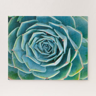 Echeveria Rosette, Secret Garden of Marrakech Jigsaw Puzzle