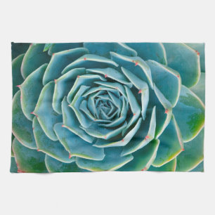 Echeveria Rosette, Secret Garden of Marrakech Kitchen Towel