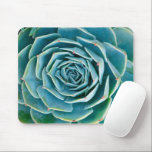 Echeveria Rosette, Secret Garden of Marrakech Mouse Pad<br><div class="desc">Echeveria rosette (Echeveria elegans),  a semi-desert succulent plant native to Mexico,  Secret Garden of Marrakech,  Medina of Marrakech,  Mouassine neighbourhood,  Morocco.</div>