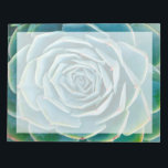 Echeveria Rosette, Secret Garden of Marrakech Notepad<br><div class="desc">Echeveria rosette (Echeveria elegans), a semi-desert succulent plant native to Mexico, Secret Garden of Marrakech, Medina of Marrakech, Mouassine neighbourhood, Morocco.</div>