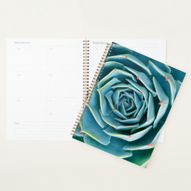 Echeveria Rosette, Secret Garden of Marrakech Planner (Display)
