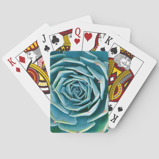 Echeveria Rosette, Secret Garden of Marrakech Playing Cards (Back)