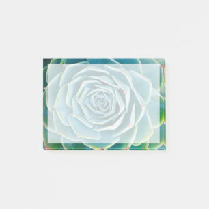 Echeveria Rosette, Secret Garden of Marrakech Post-it Notes