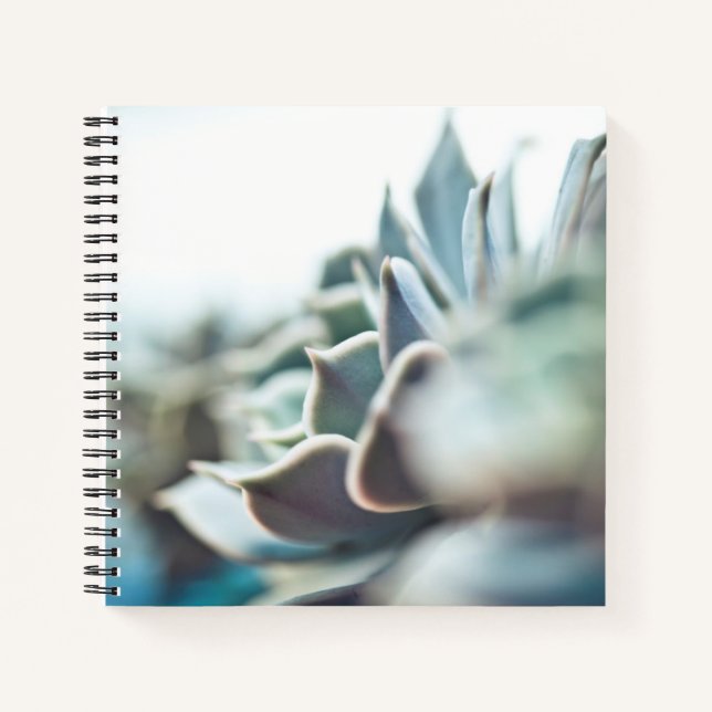 Echeveria succulent notebook (Front)