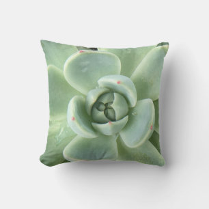 Echeveria Succulent Throw Pillow
