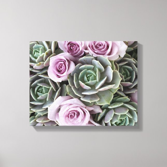 Echeverias and roses by Debra Lee Baldwin Canvas Print (Front)