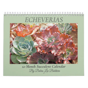 Echeverias Succulent 12-Month Calendar