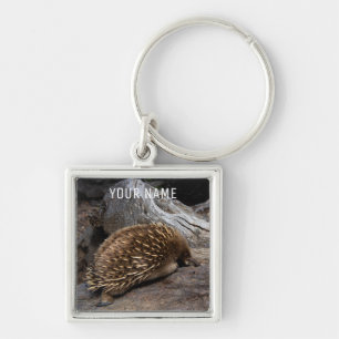 Echidna Australia Cute Animal Anteater Keychain