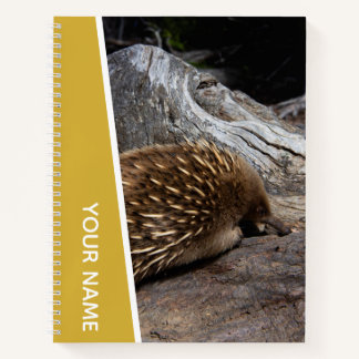 Echidna Australia Cute Spiky Animal, Gold Notebook