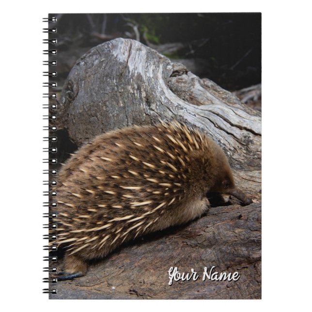 Echidna Australia Notebook (Front)