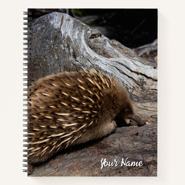 Echidna Australia Notebook (Front)