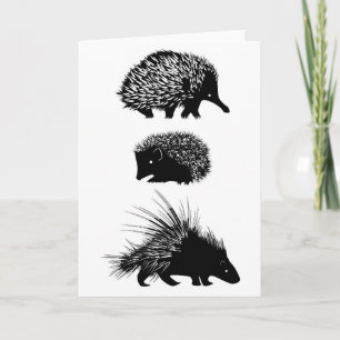 Echidna, hedgehog, porcupine greeting card