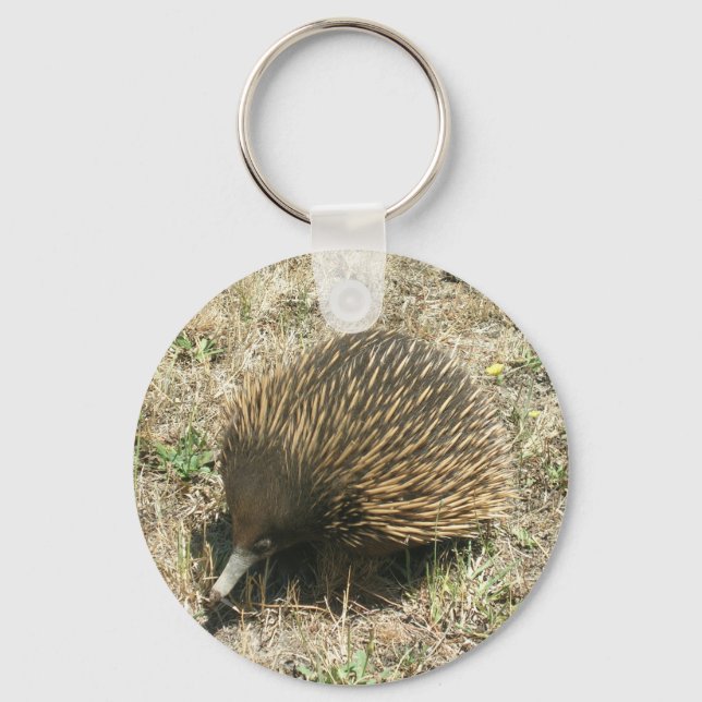 Echidna Keychain (Front)