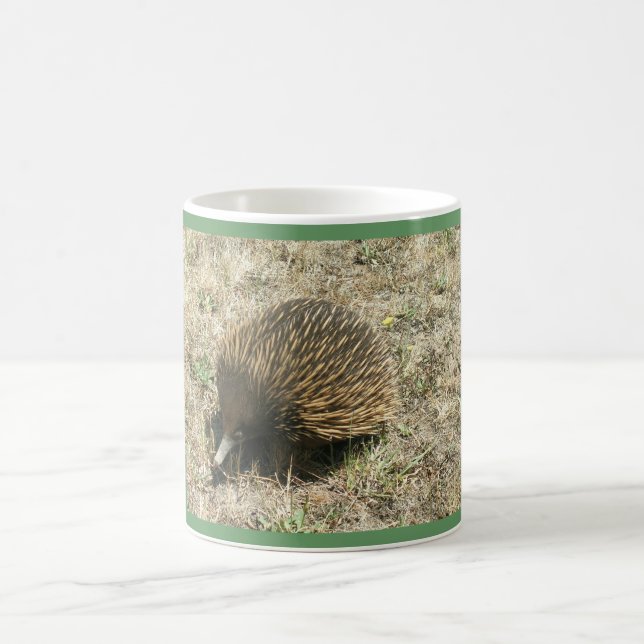 ECHIDNA  Mug (Center)