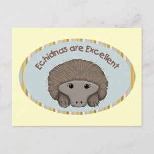 Echidnas are Excellent Postcard