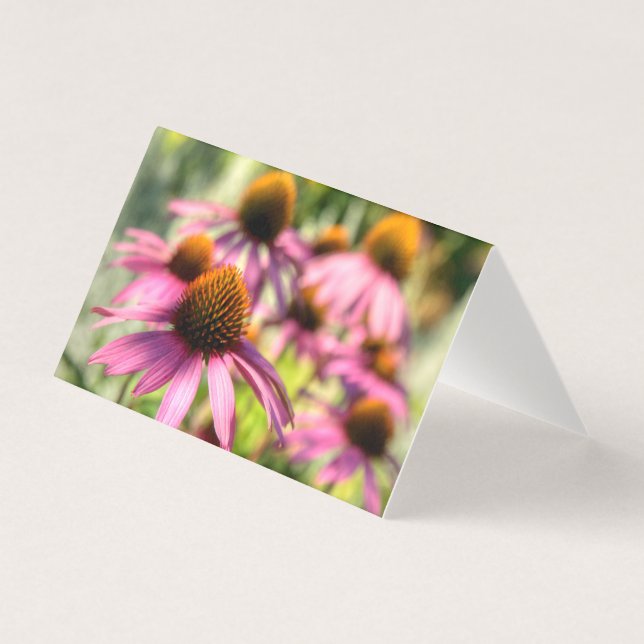 Echinacea (Front)